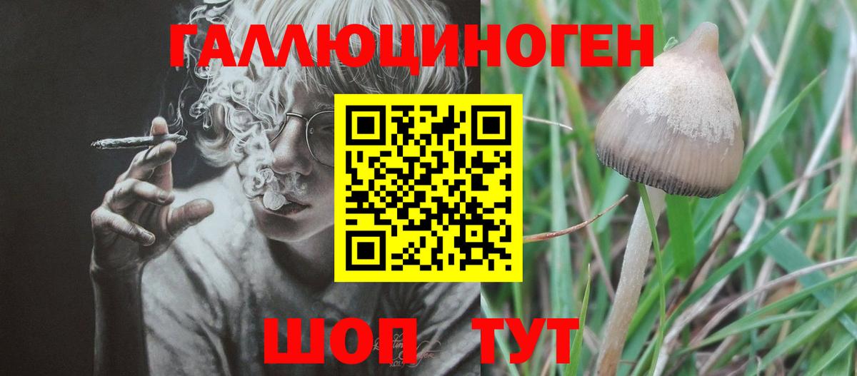 Псилоцибиновые грибы мухоморы Воткинск